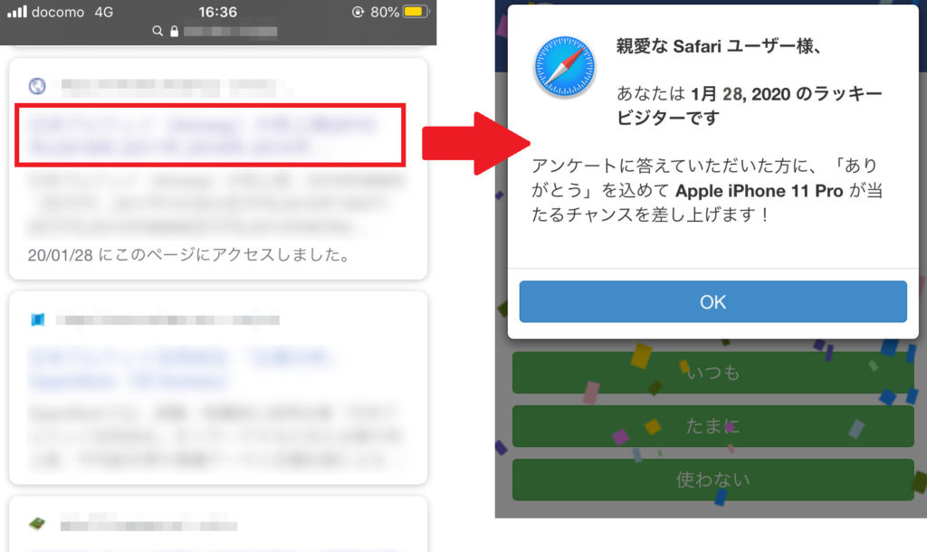 Safari様確認用 メール便送料無料対応可